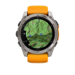 Fenix 8