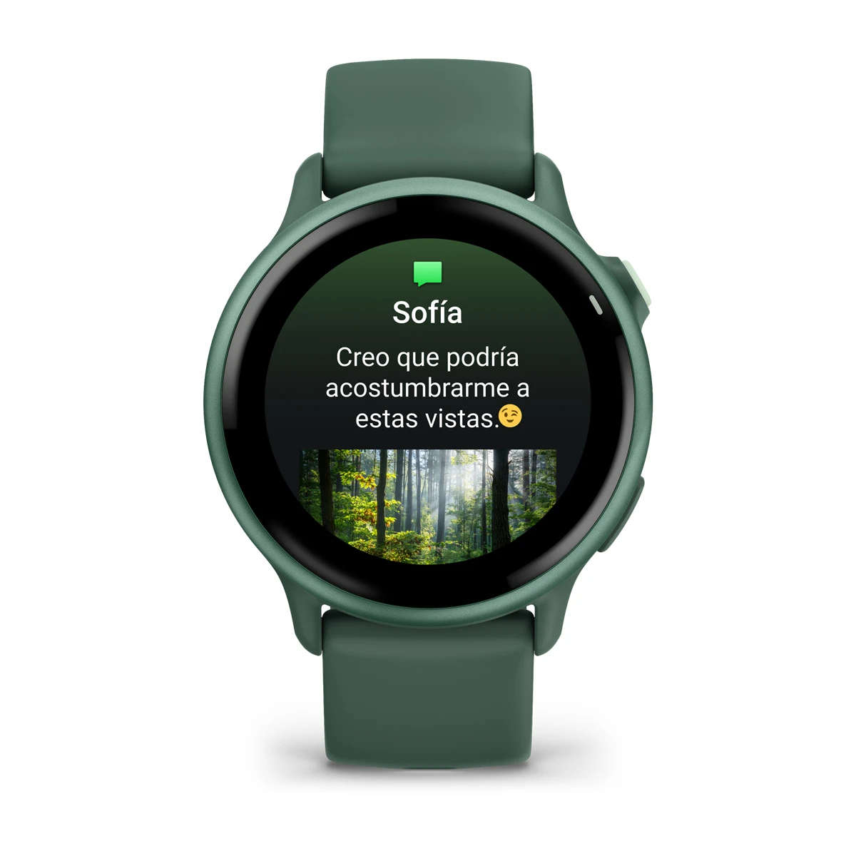 Vivoactive 6