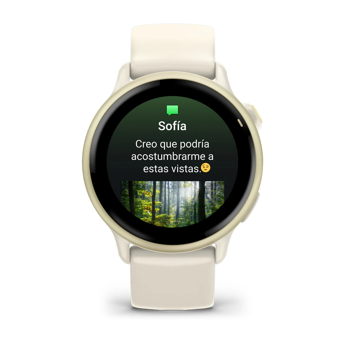 Vivoactive 6