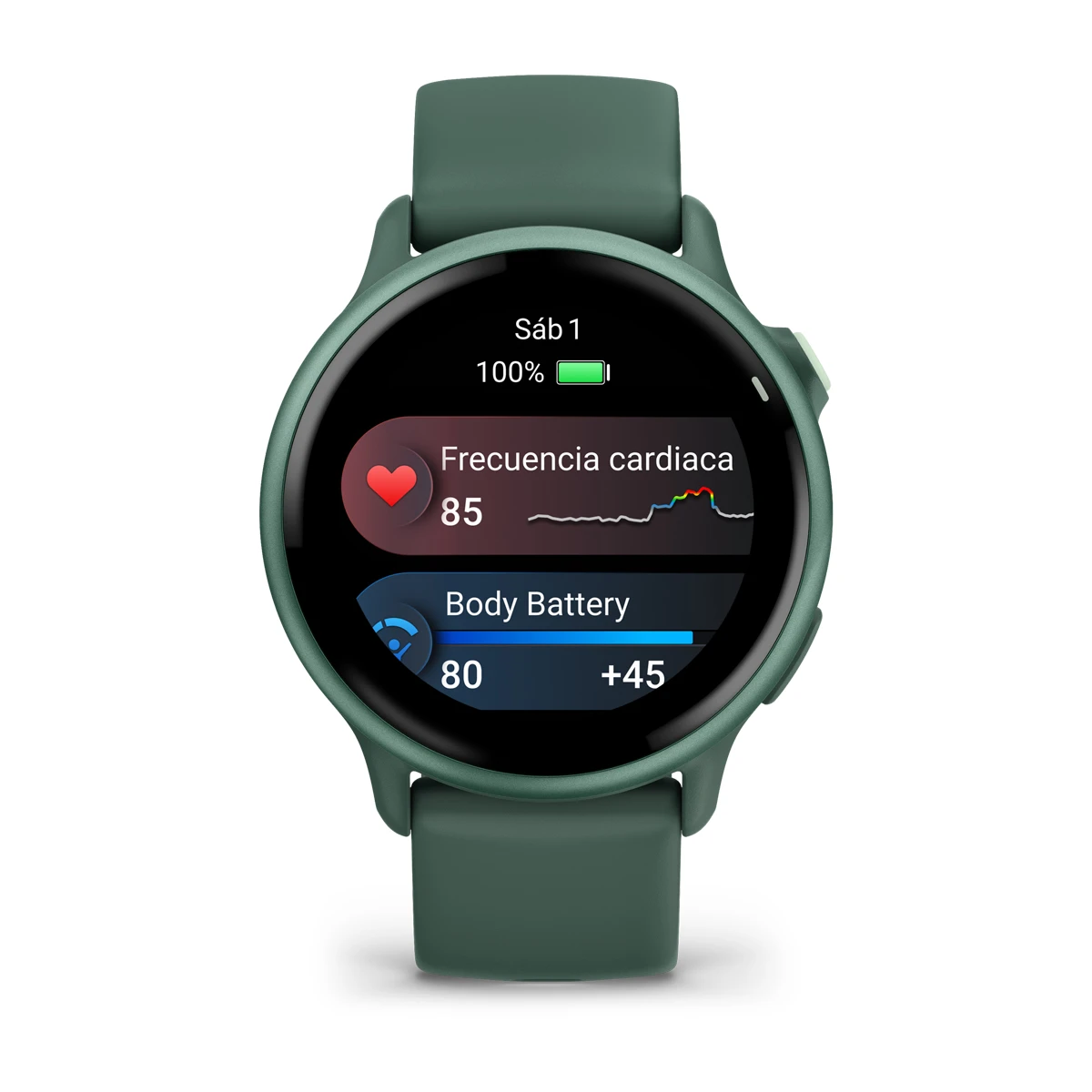 Vivoactive 6