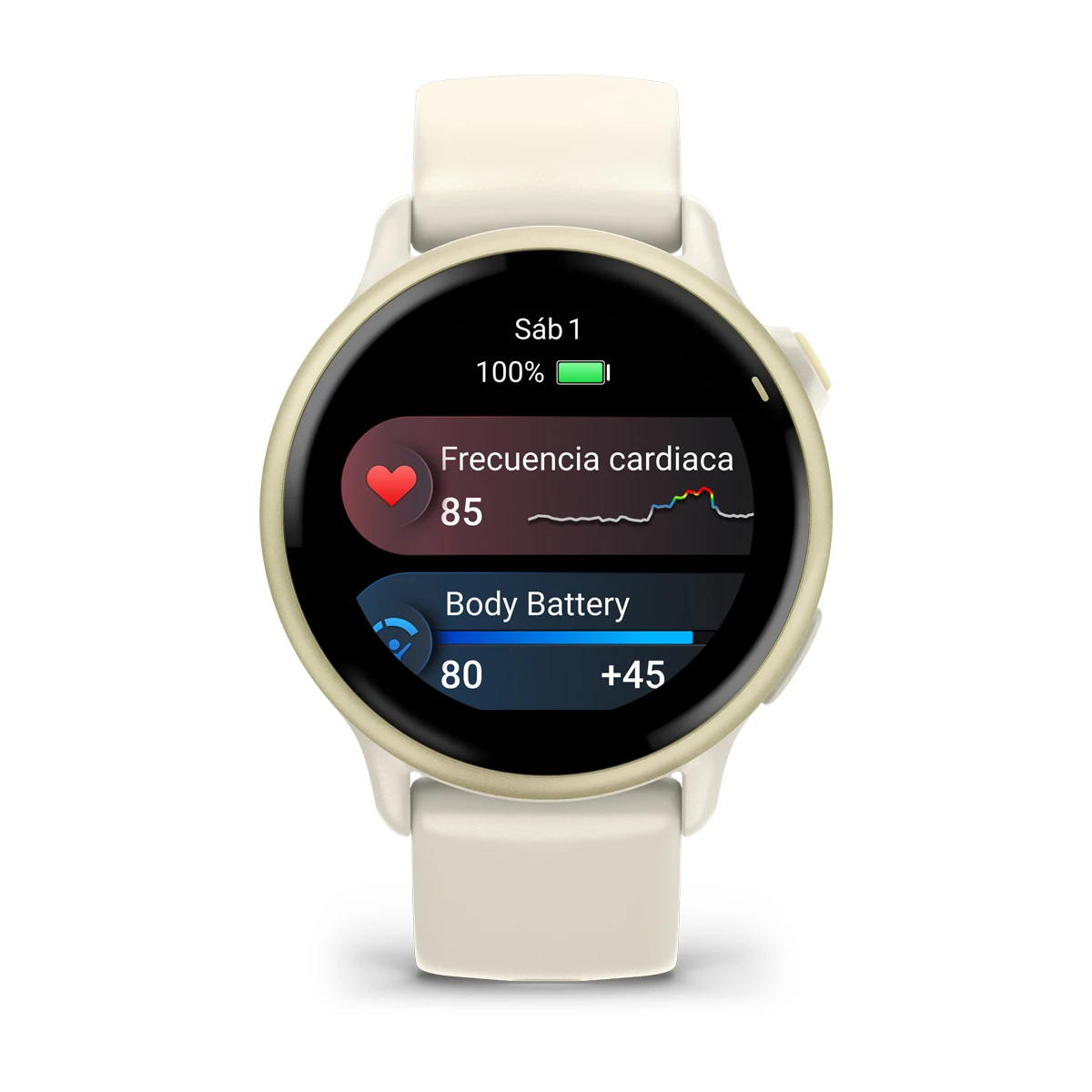 Vivoactive 6
