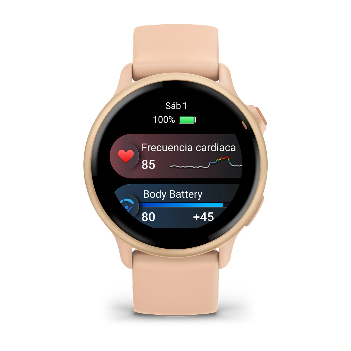 Vivoactive 6
