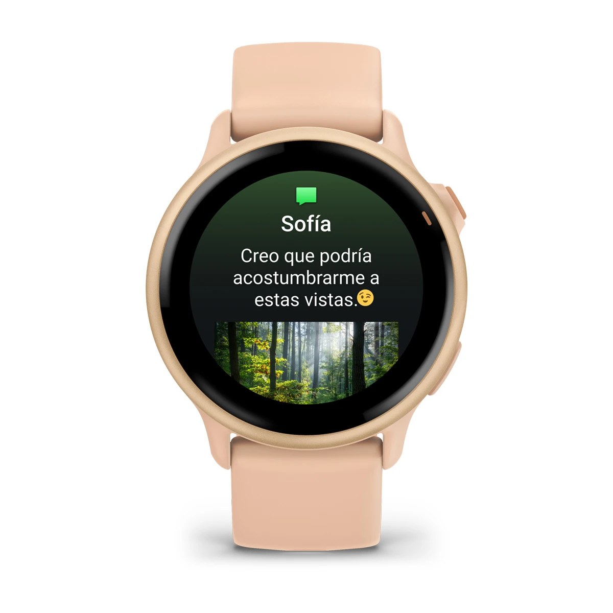 Vivoactive 6